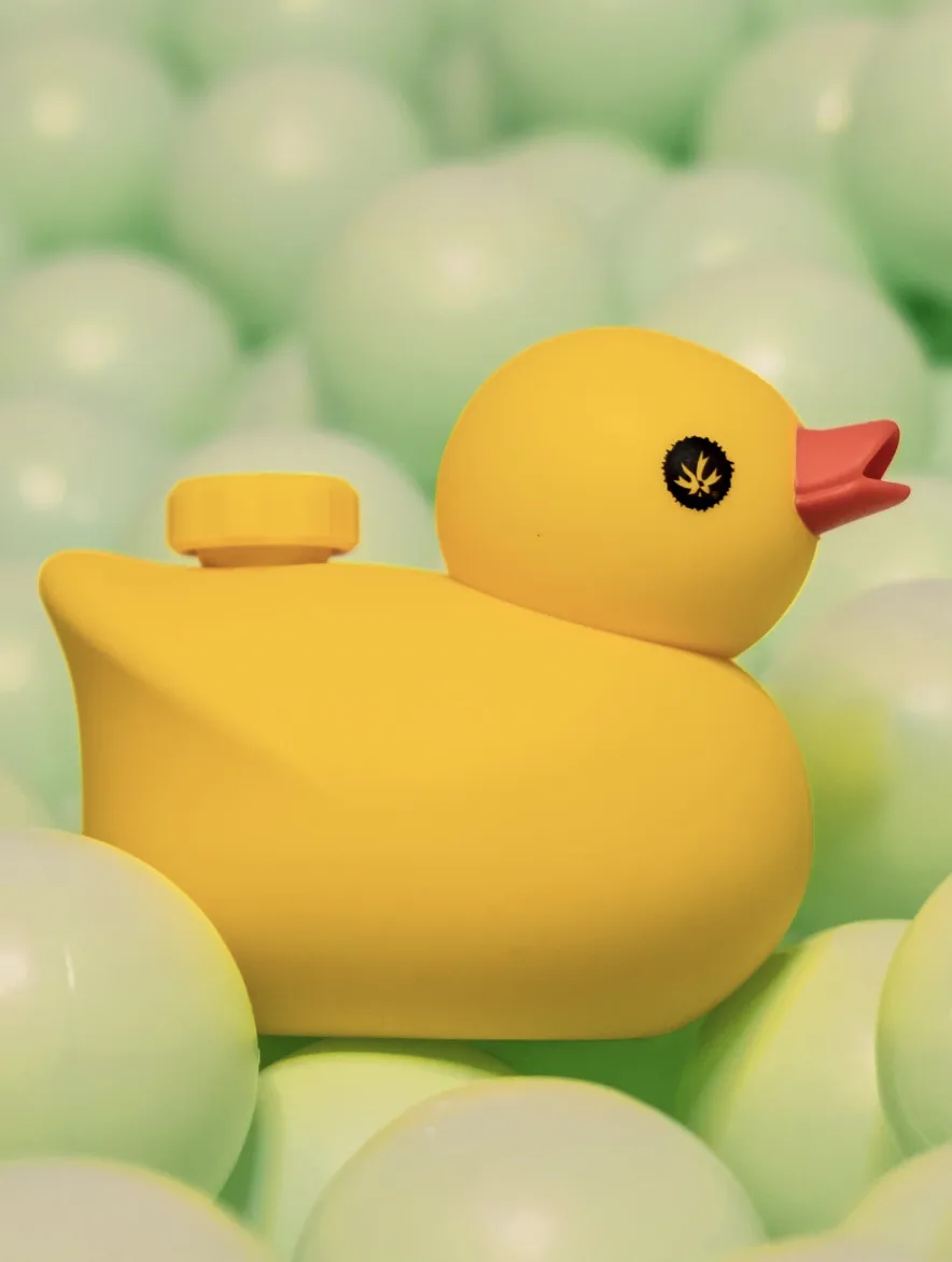 Pipa Piecemaker pato